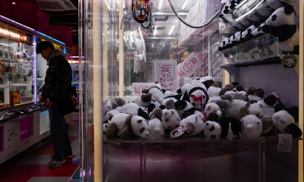 Vuelven a China los últimos dos pandas de Japón en medio de tensiones entre ambos países