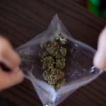 El Senado recoge velas con proyecto que permitiría al BDE financiar negocios de cannabis y de apuestas deportivas