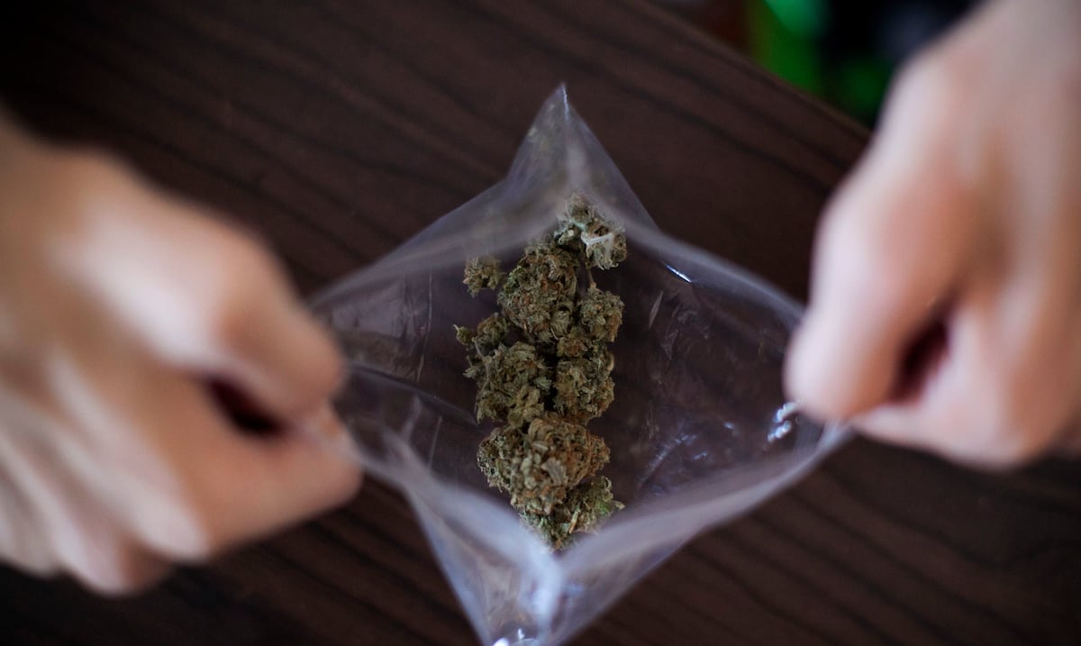 El Senado recoge velas con proyecto que permitiría al BDE financiar negocios de cannabis y de apuestas deportivas