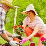 ¿Cuánto necesitas para jubilarte en Puerto Rico?