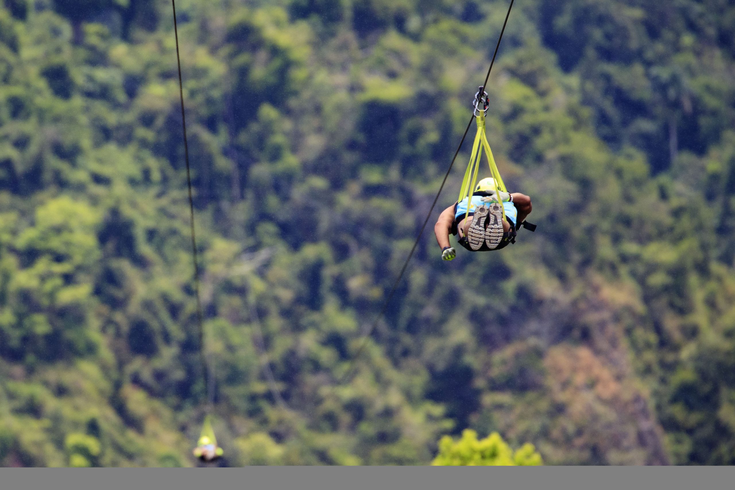 Estas son las opciones para disfrutar a Puerto Rico desde un zipline