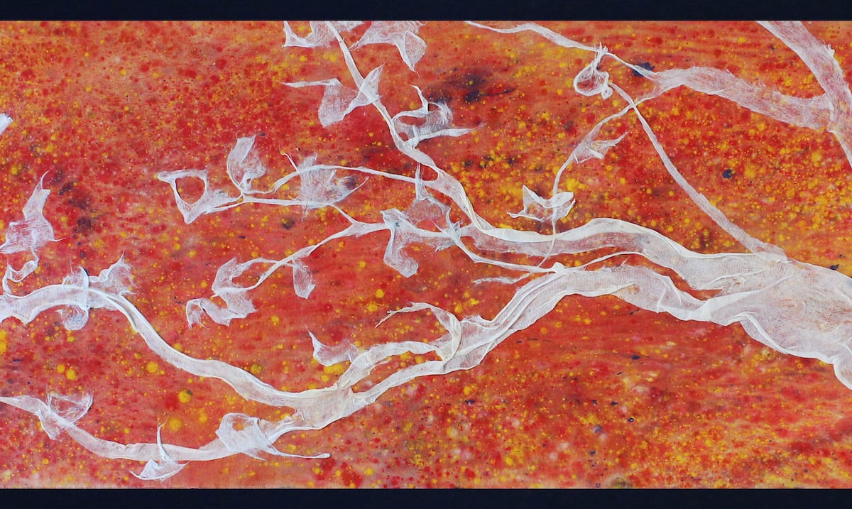 El poderoso mensaje de Antonio Martorell detrás de su “Gaza, Gasa, Gauze”