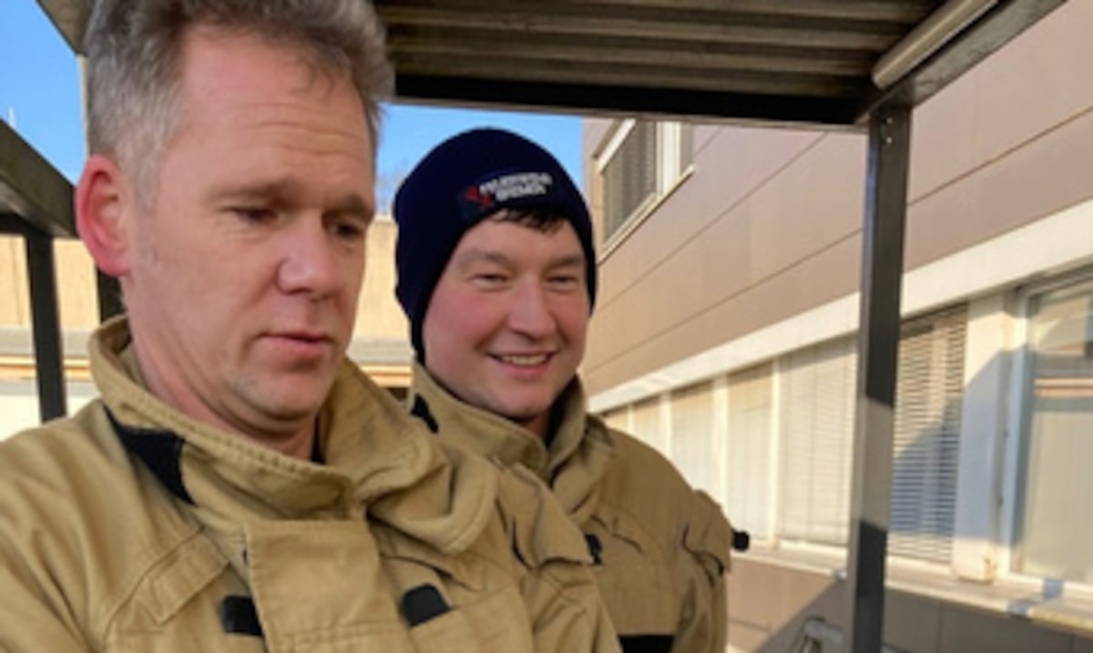 Un ave picotea la puerta de urgencias y provoca su propio rescate