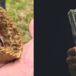 Descubre un collar de oro prehistórico en el jardín de su casa: esta es la cantidad que podría recibir por él