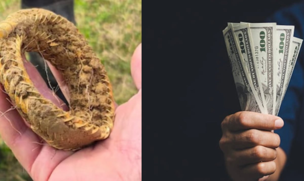 Descubre un collar de oro prehistórico en el jardín de su casa: esta es la cantidad que podría recibir por él