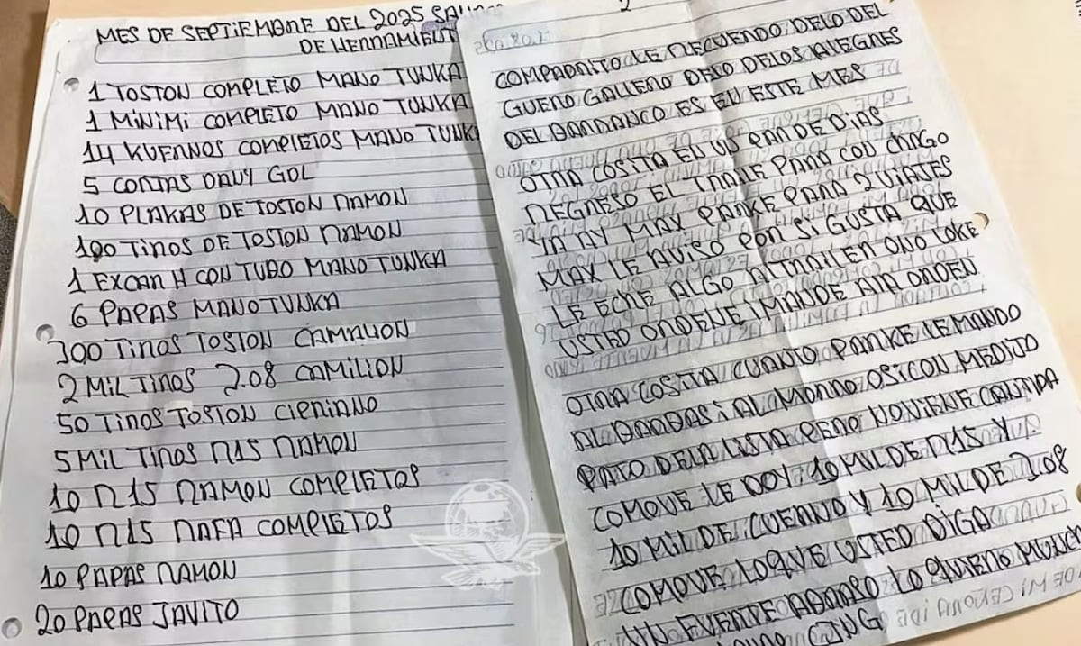 Armas de alto calibre y funerales pagados: salen a la luz los oscuros negocios de “El Mencho” en México