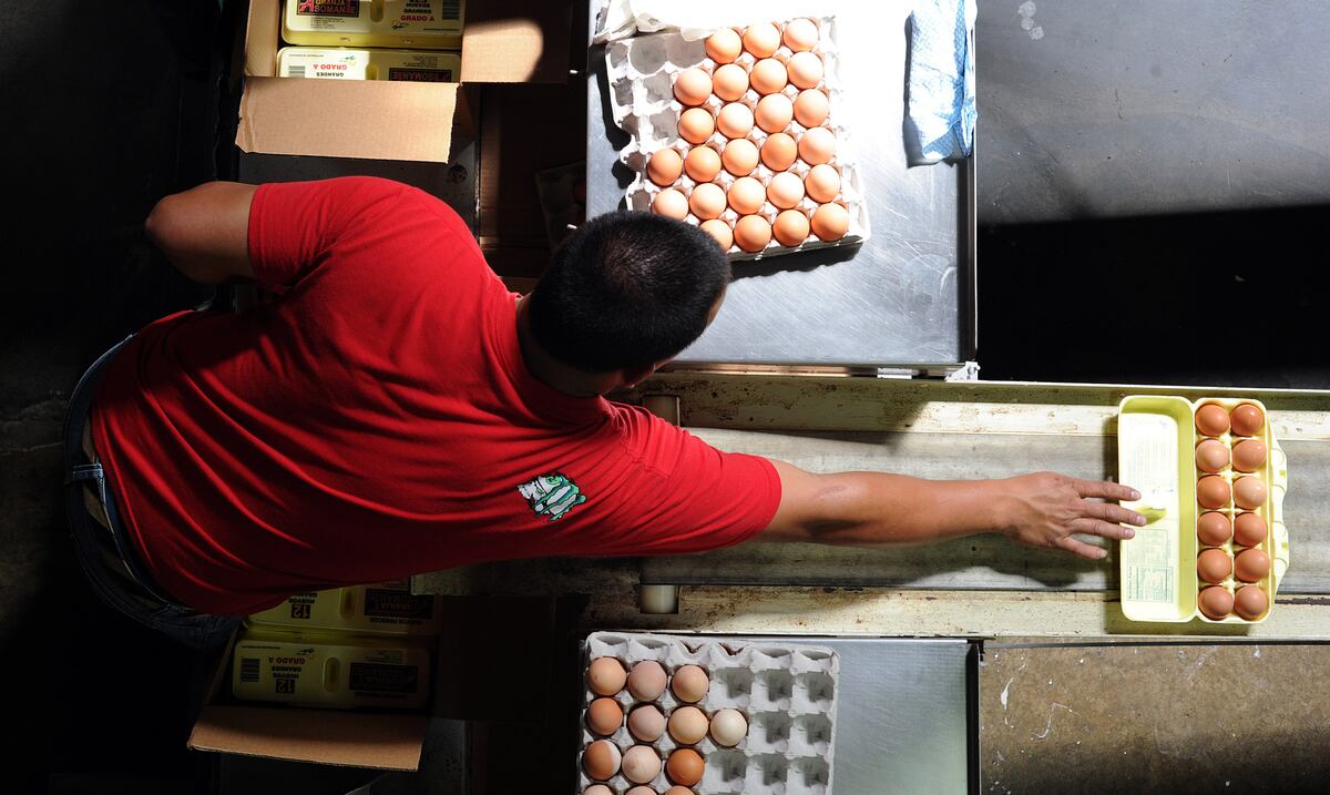 Agricultura multa a más importadores y supermercados