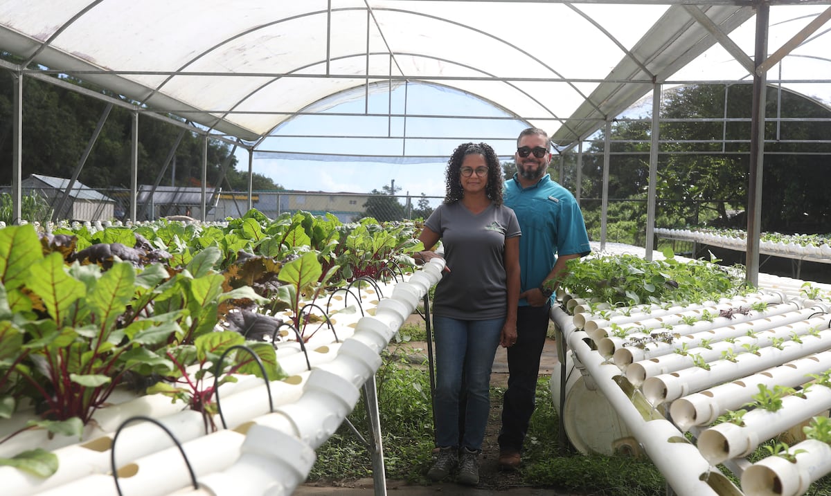 Resurge una nueva cepa de agroempresarios