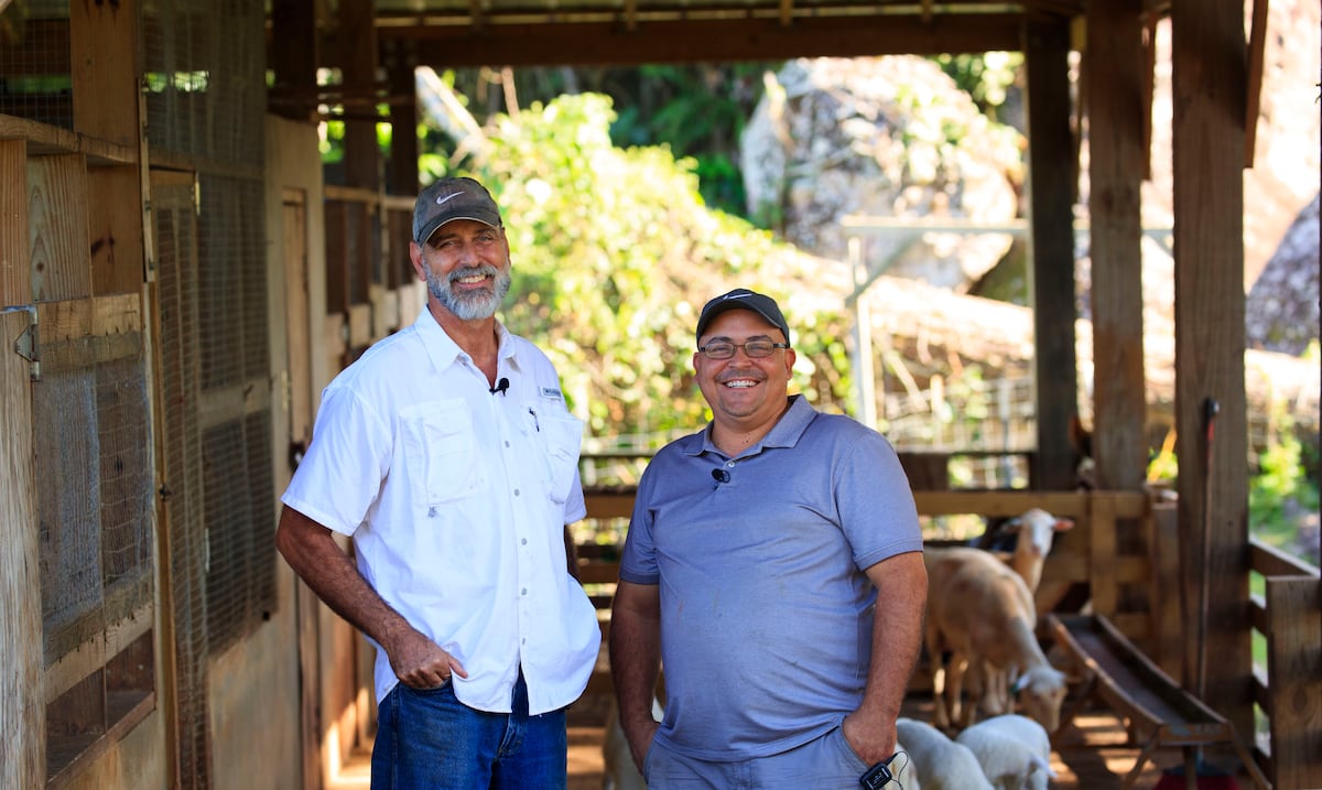 Agricultores unen fuerzas para distribuir carnes, mariscos y frutos locales