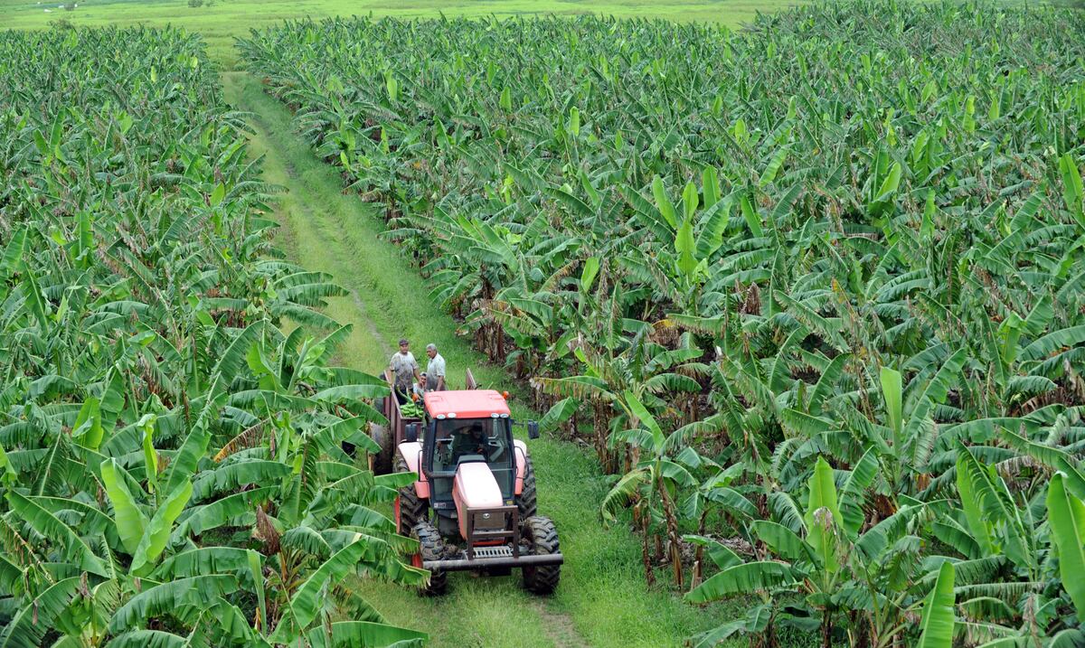 Agricultura federal facilita el acceso a capital para las microempresas en el agro
