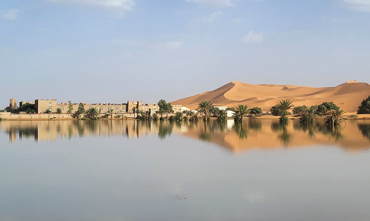 Fluye el agua entre palmeras y dunas de arena tras inusuales lluvias en el desierto del Sahara