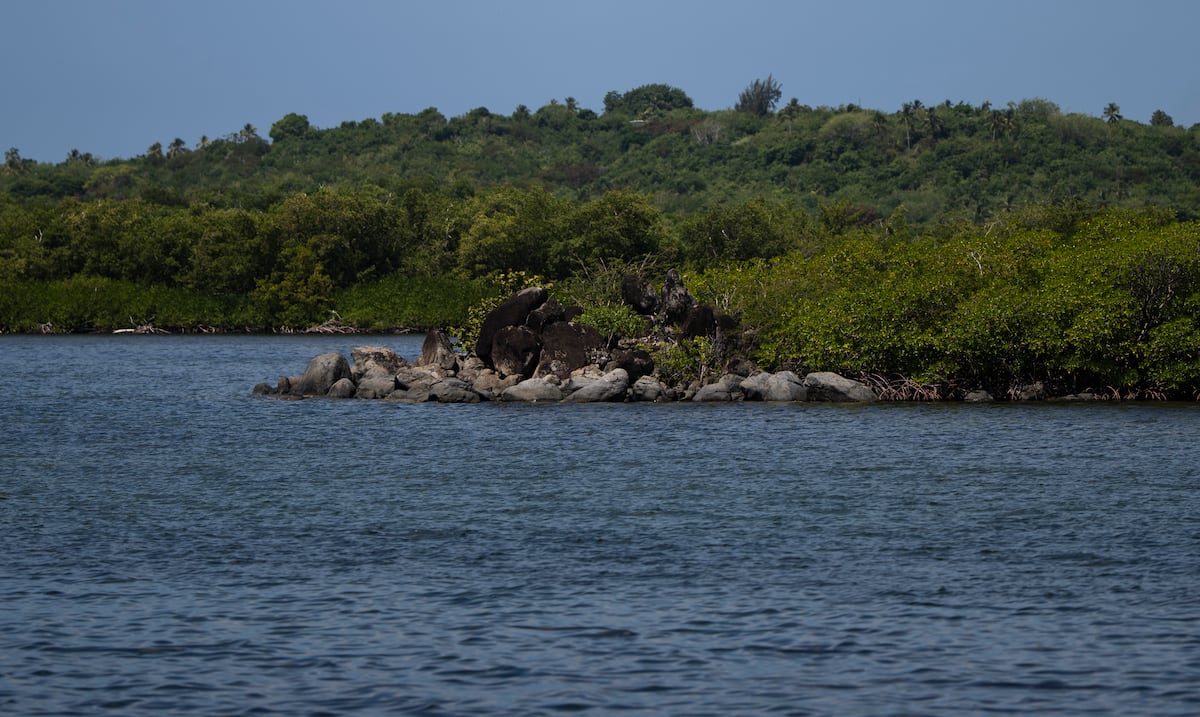 El DRNA asistirá en la limpieza de áreas naturales en Roosevelt Roads