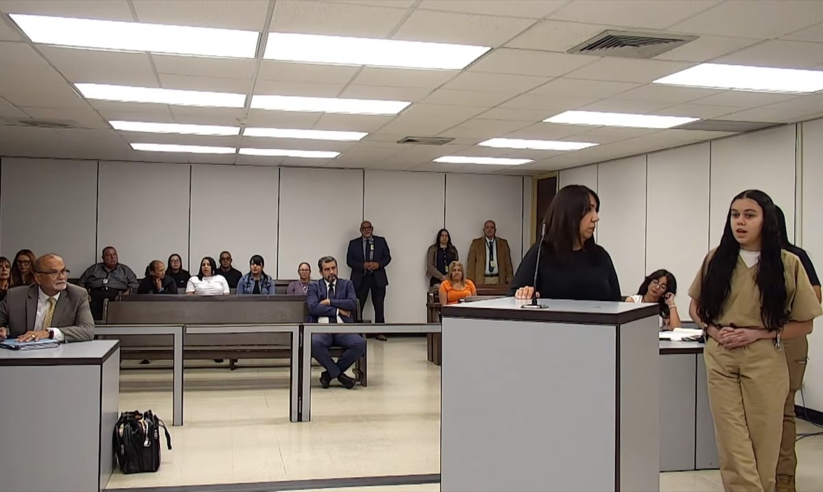 Opinión | Anthonieska y el hábeas corpus