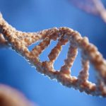 Descubre cómo la epigenética puede hacer que tus genes trabajen a tu favor