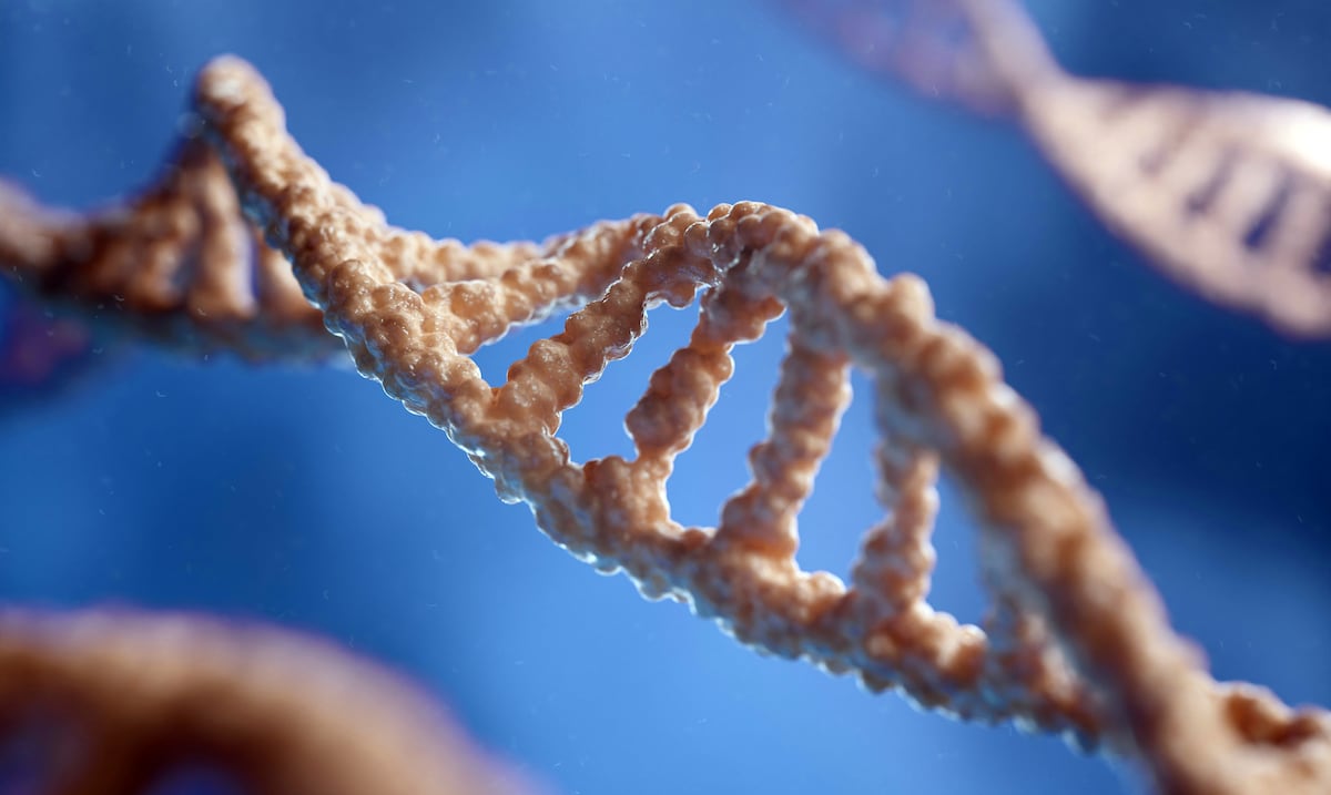 Descubre cómo la epigenética puede hacer que tus genes trabajen a tu favor