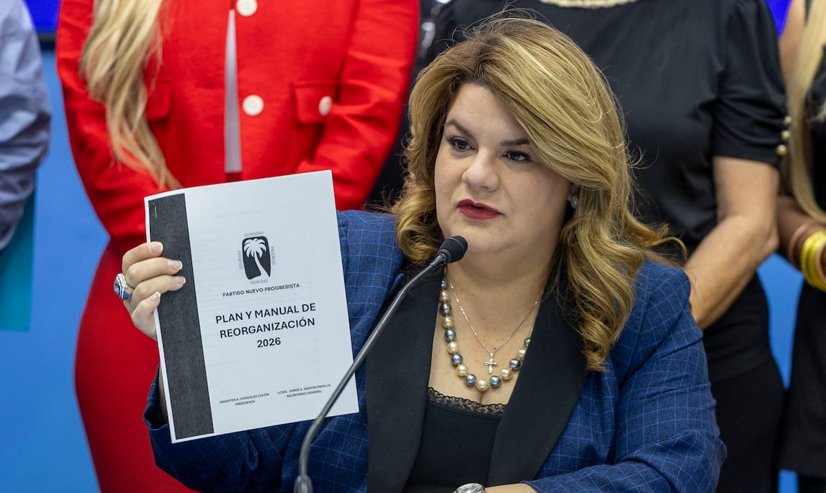 Arranca la reorganización del PNP más de un año después de las elecciones