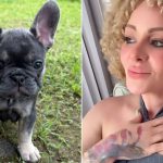 Burbu vive momento de amor tras la muerte de su perrito