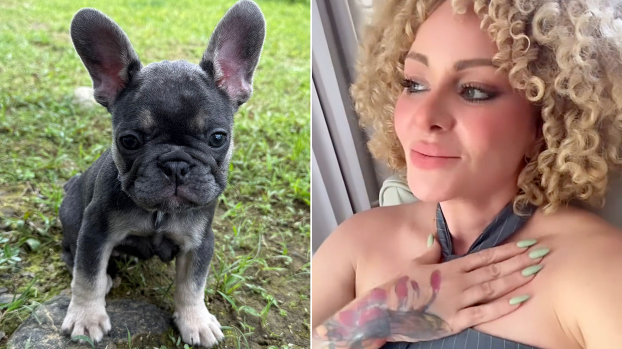 Burbu vive momento de amor tras la muerte de su perrito