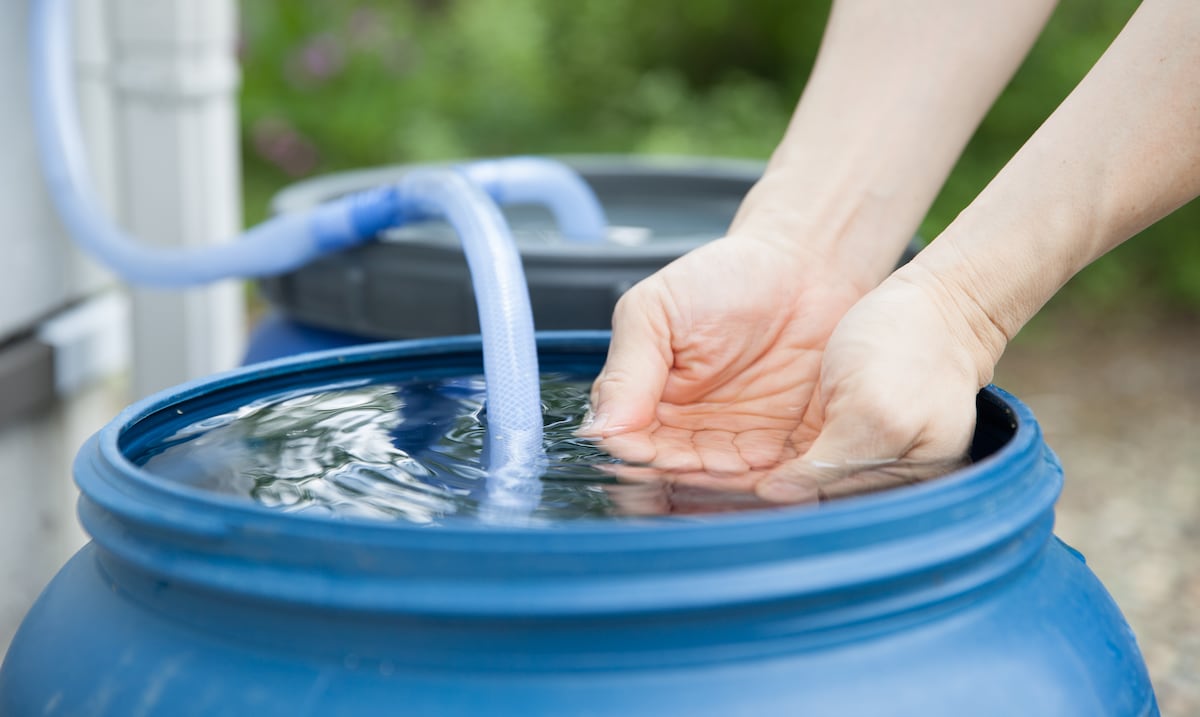 Opinión | Día Mundial del Agua: la naturaleza como aliada clave