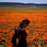 ¡Por ahí viene la temporada de alergias!: conoce cómo protegerte