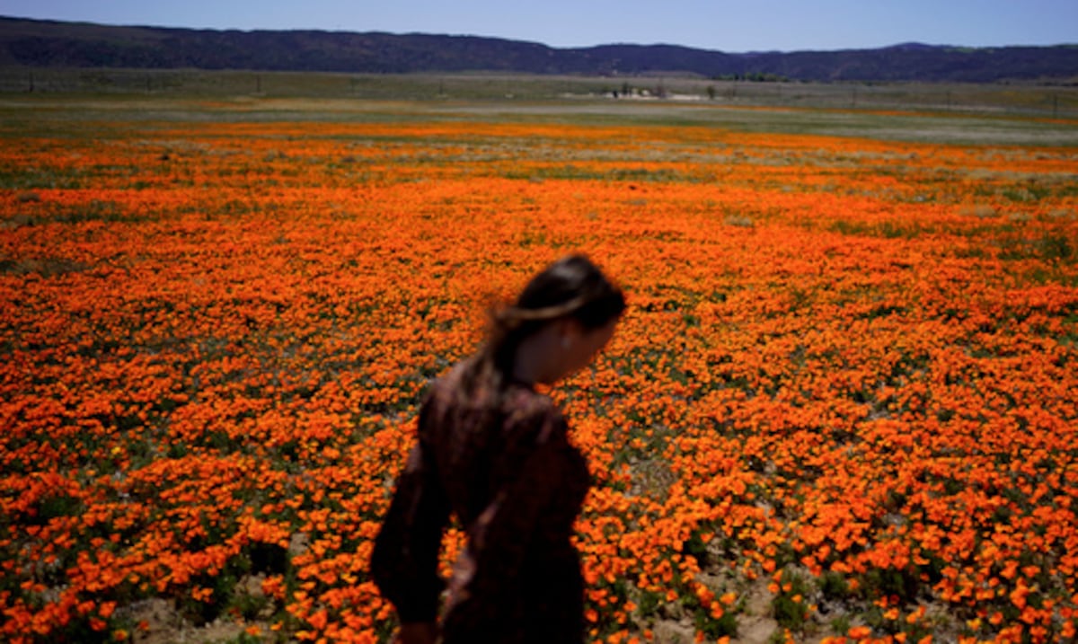 ¡Por ahí viene la temporada de alergias!: conoce cómo protegerte