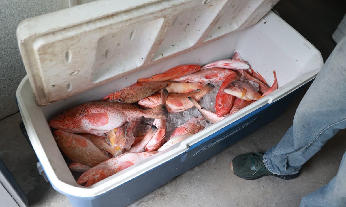 Pescadores mantienen los precios para no perder clientes