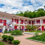Una mirada al mundo del café y el cacao de Colombia