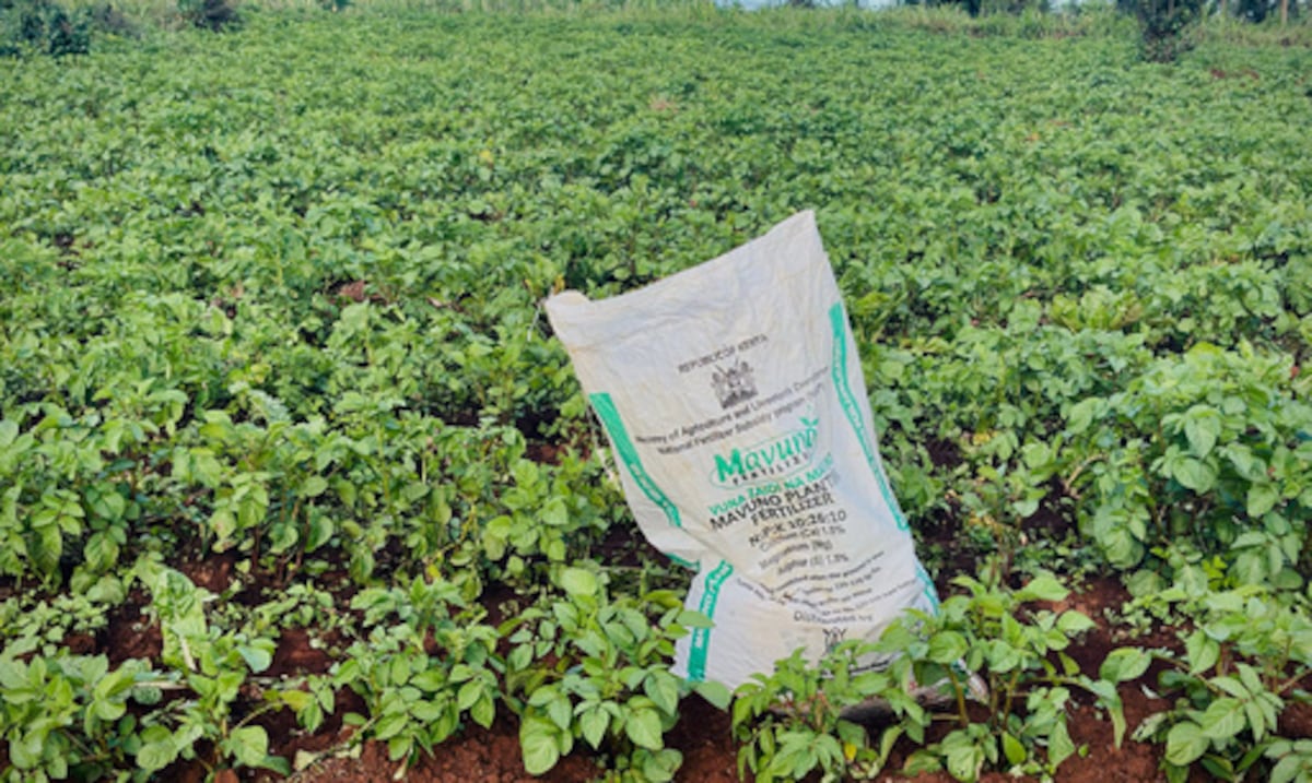 Guerra de Irán provoca una escasez mundial de fertilizantes y amenaza los precios de los alimentos