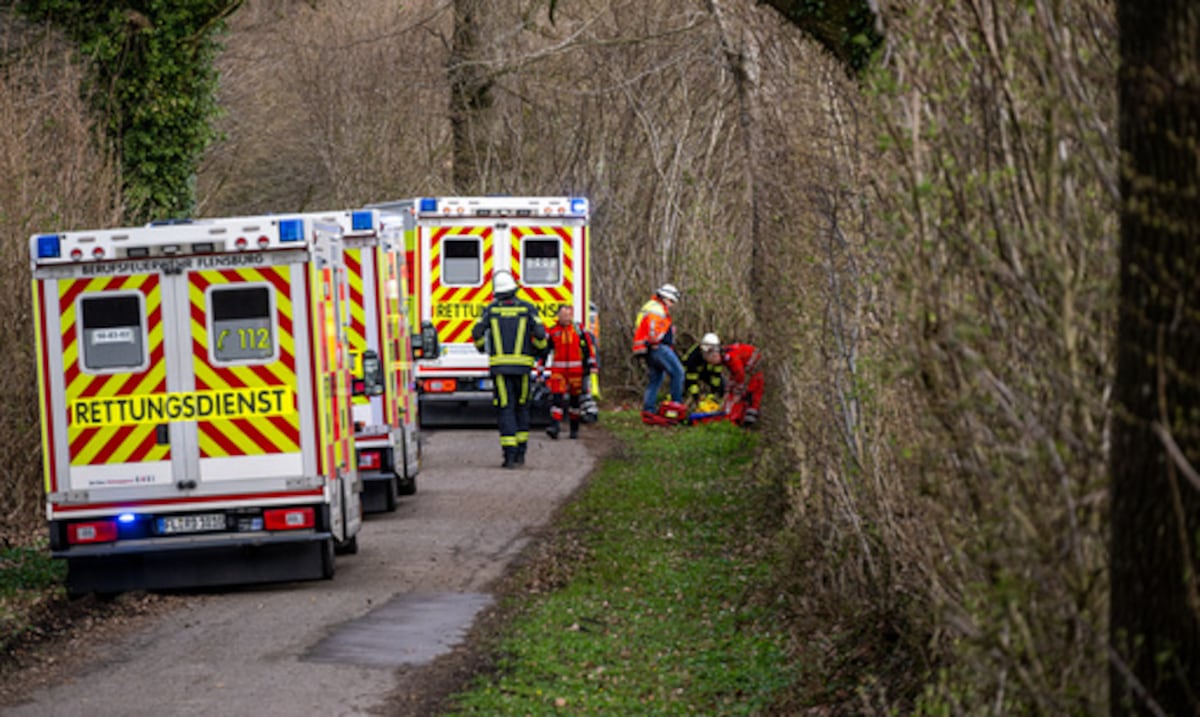 Caída de árbol por fuertes vientos deja 3 muertos en actividad de Pascua en Alemania