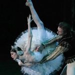 El hechizo de “El lago de los cisnes” regresa a Puerto Rico