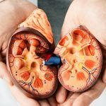 Siete recomendaciones para cuidar tus riñones y prevenir enfermedades renales