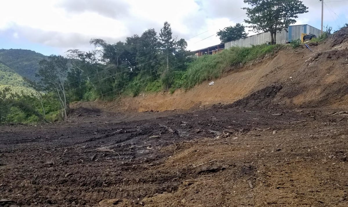 Opinión | Golpe a la planificación