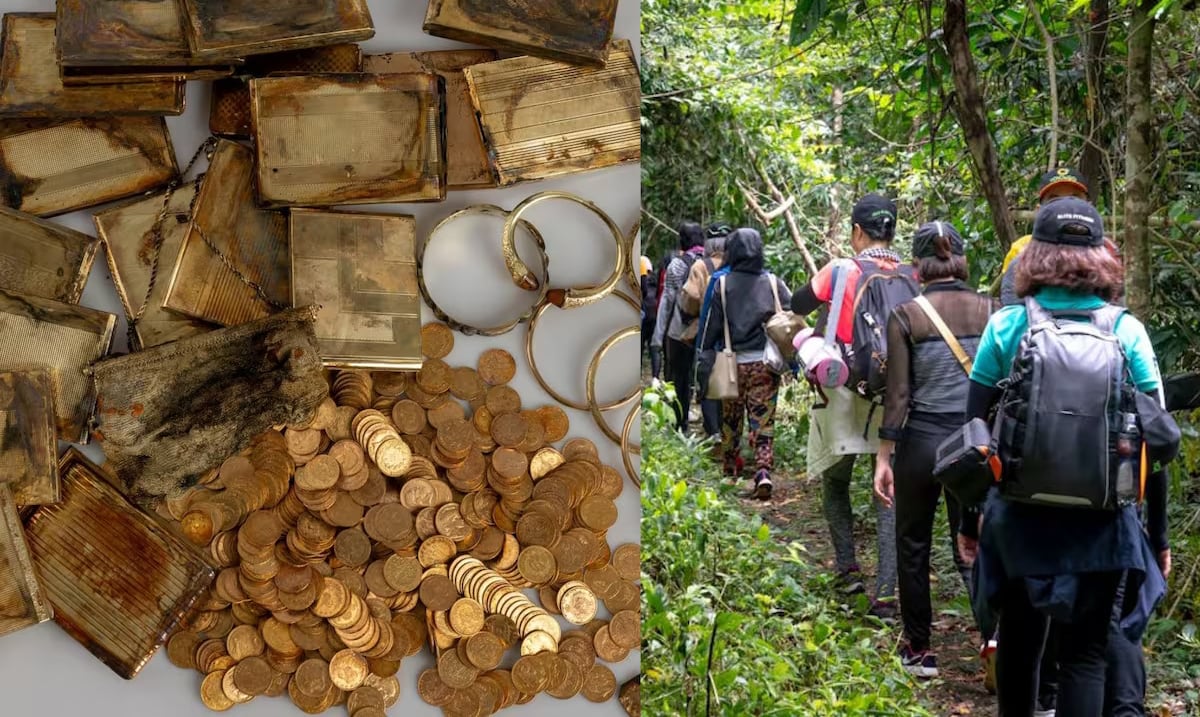 Tesoro en la montaña: excursionistas encontraron una lata de aluminio con cerca de 600 monedas de oro