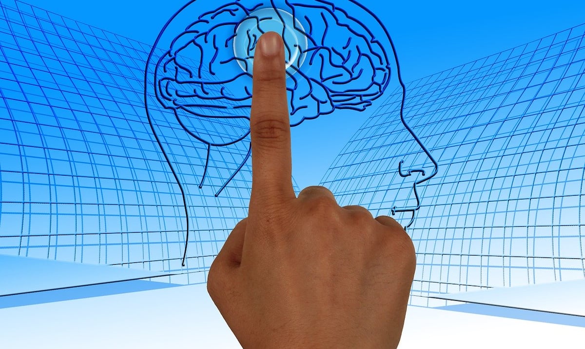 Opinión | La tragedia de la hiperespecialización