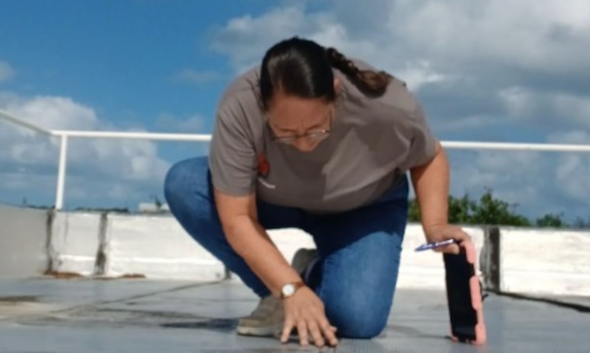 Crucial inspeccionar la vivienda antes de firmar la hipoteca