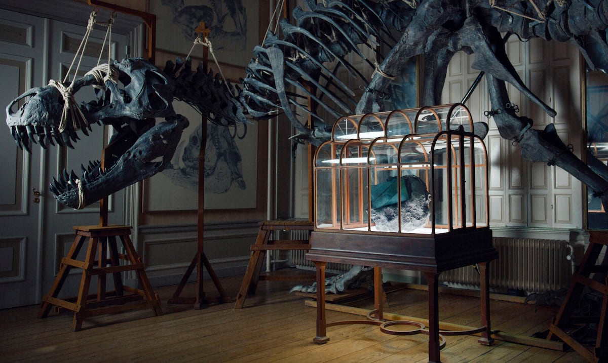 De la prehistoria a la moda: crean un bolso de lujo con proteína reconstruida de T-Rex