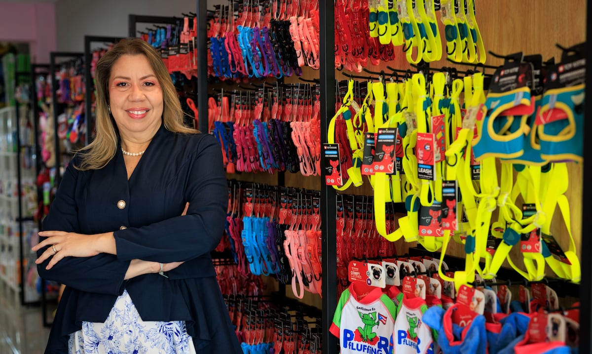 Toy Doggie: remedio para chihuahua se convirtió en empresa que genera millones de dólares