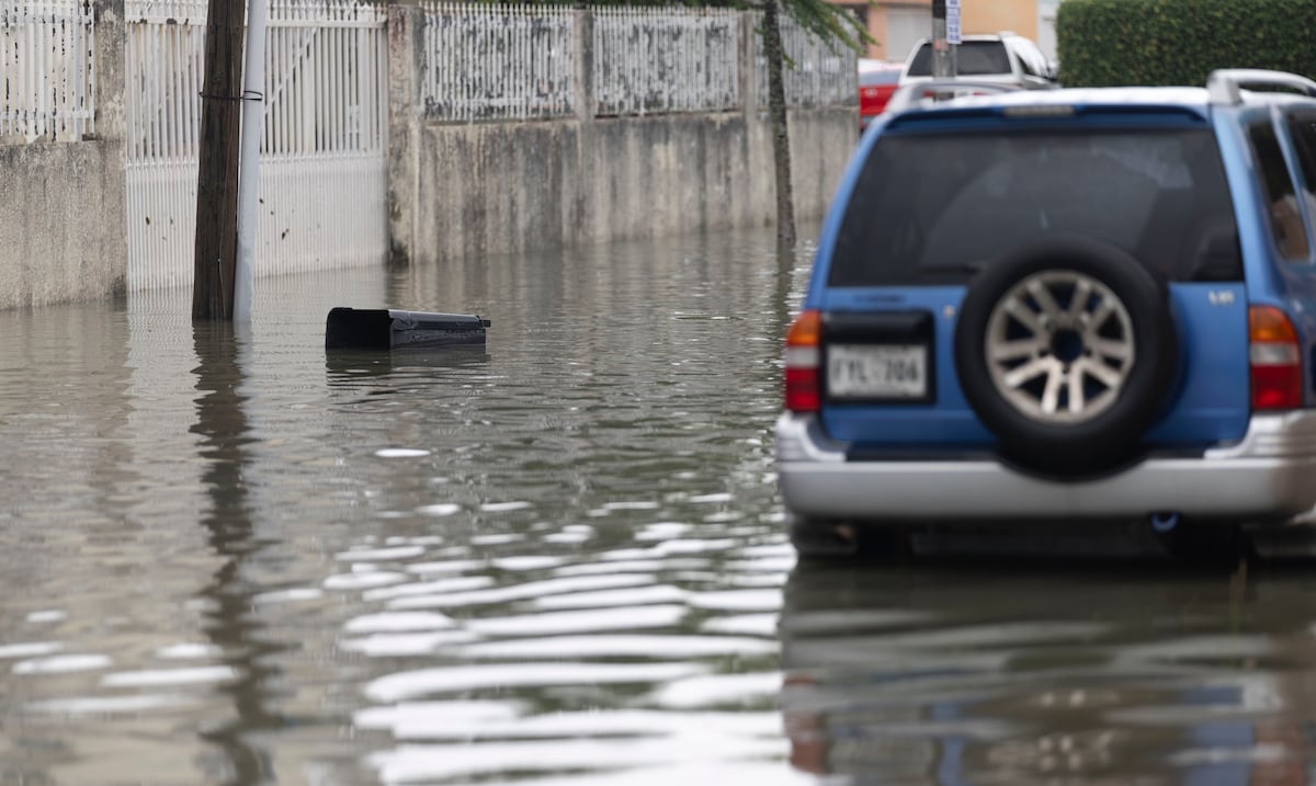 ¿Sientes “ecoansiedad”? Conoce de qué se trata