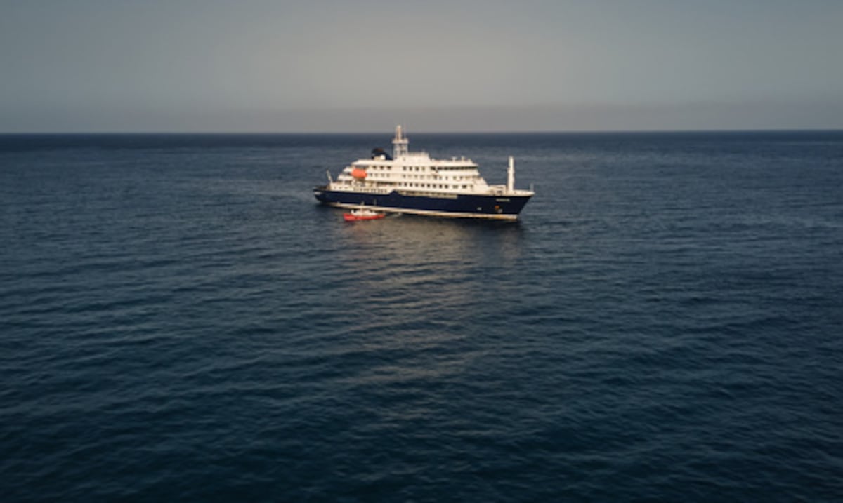 Identifican una cepa que se transmite entre humanos en pasajeros de crucero con brote de hantavirus