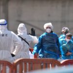 Tras bajar del crucero: 3 personas de Francia y Estados Unidos dan positivo o tienen síntomas de hantavirus