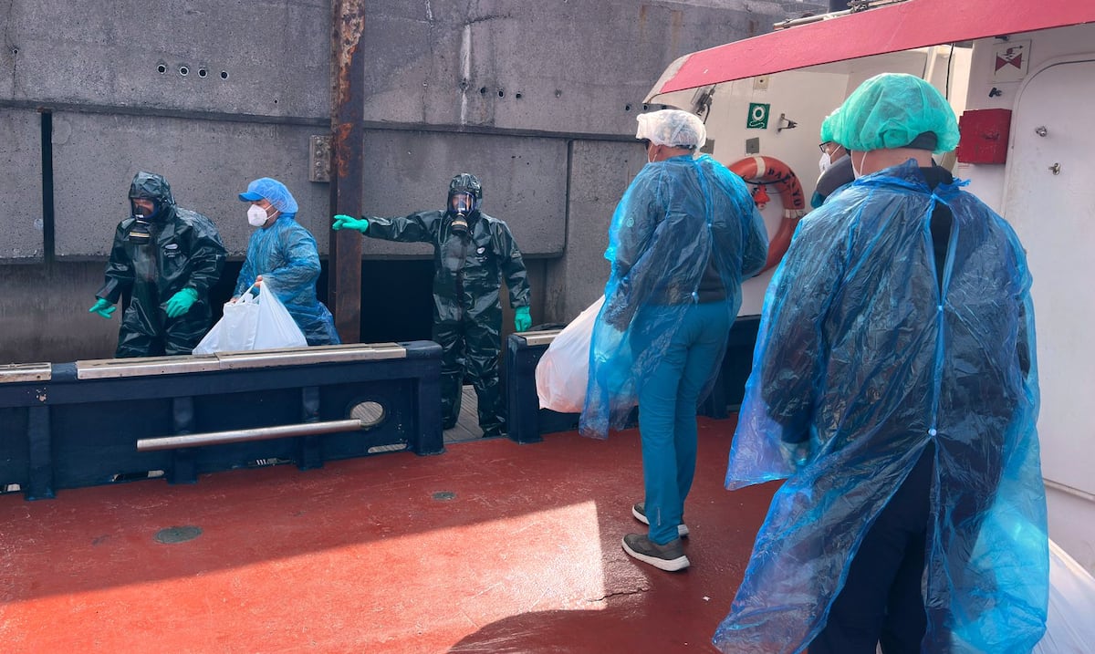 Inicia el desembarco de pasajeros del crucero con brote de hantavirus