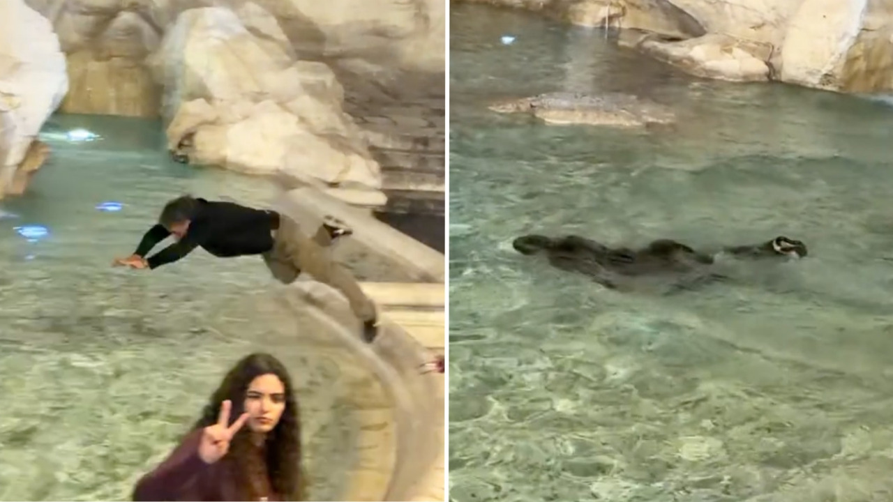 Turista se lanza en la Fontana de Trevi para hacerse viral