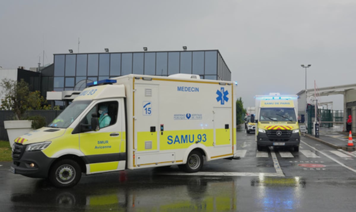 Brote de hantavirus: científicos en Francia confirman que la cepa de los Andes del crucero coincide con virus ya conocidos