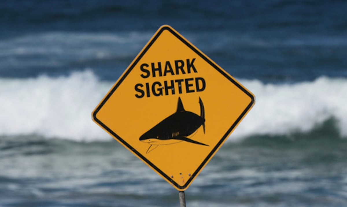 Segundo en una semana: muere otro pescador tras ser atacado por un tiburón en Australia
