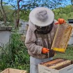 Miel de Puerto Rico gana premio en Colombia