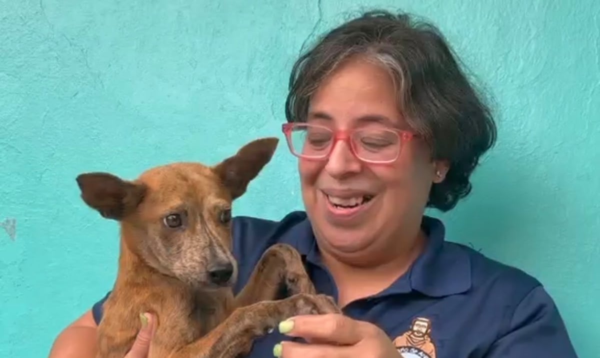 Santuario de Animales San Francisco de Asís enfrenta situación llena de retos y hace un llamado solidario