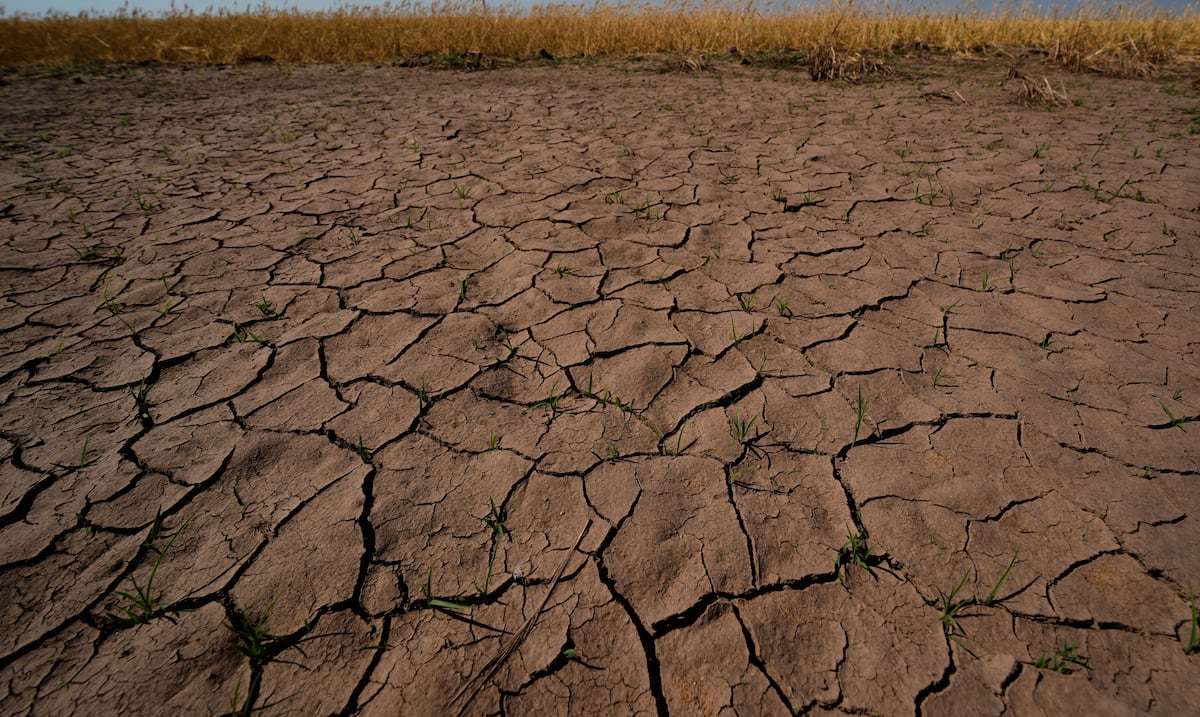 Opinión | El Niño: cuando el riesgo no tiene nombre de huracán