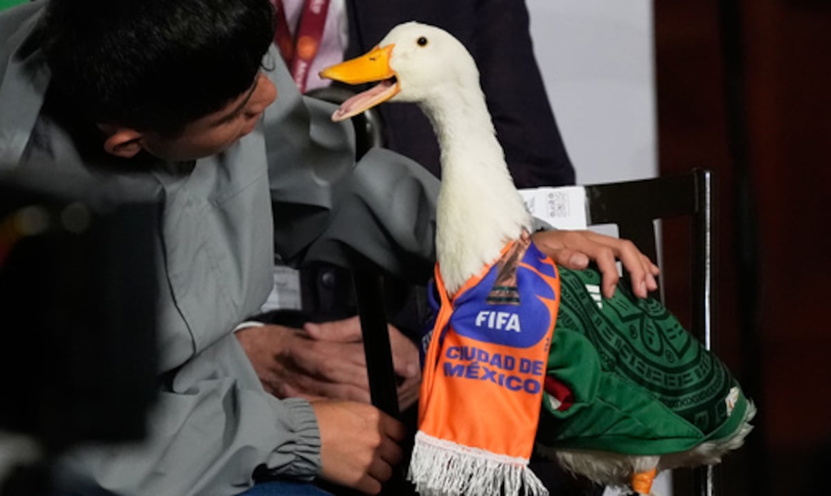 El pato Merlín acude a la rueda de prensa de la presidenta de México en pleno Mundial