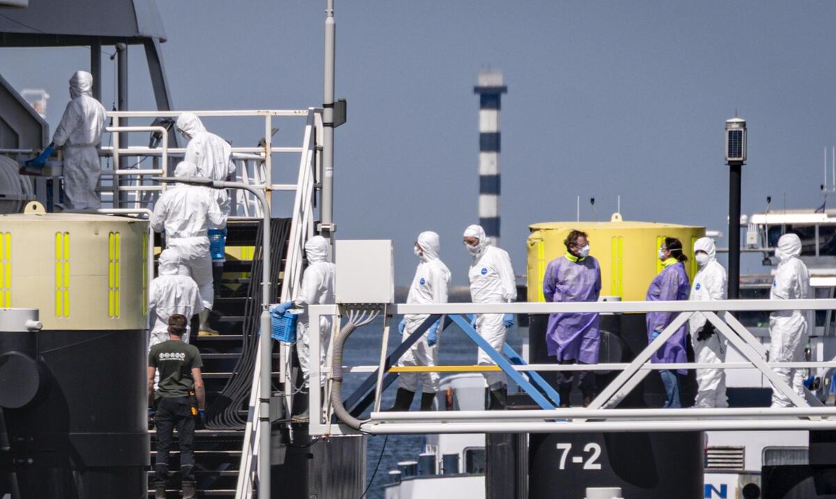 Con trajes especiales y en búsqueda de roedores: así se ejecuta la desinfección del crucero afectado por brote de hantavirus