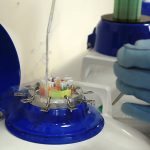 Estudio vincula la contaminación ambiental con una menor calidad del semen
